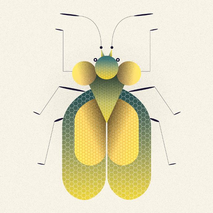 illustration vectorielle d'un insecte géométrique