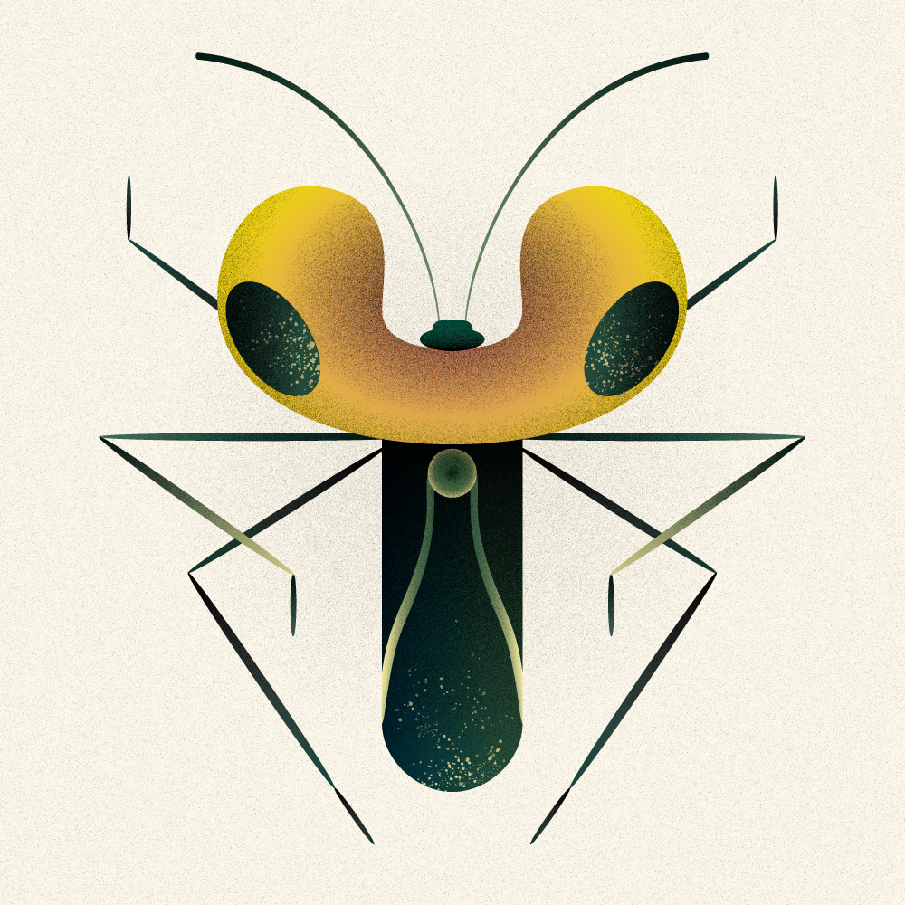 illustration d'un insecte géométrique 